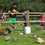- 6 Pers., Proche Utah - Api-1-52-2112 Camping Sainte-Marie-du-Mont (Manche)
