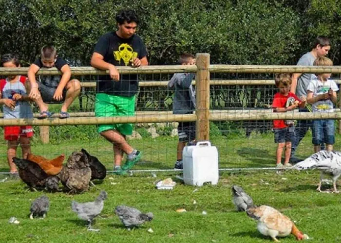 - 6 Pers., Proche Utah - Api-1-52-2112 Camping Sainte-Marie-du-Mont (Manche)