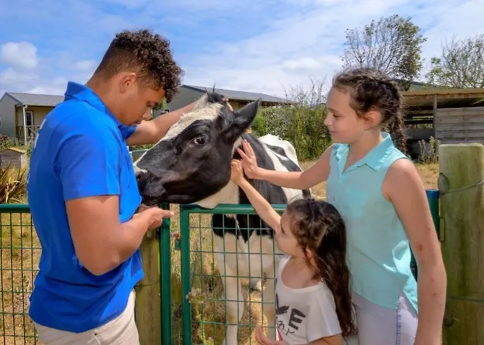 - 6 Pers., Proche Utah - Api-1-52-2112